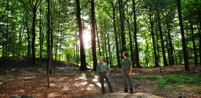 Photo of Kluisbos, The largest forest in the Flemish Ardennes (Kluisbergen, Belgium)