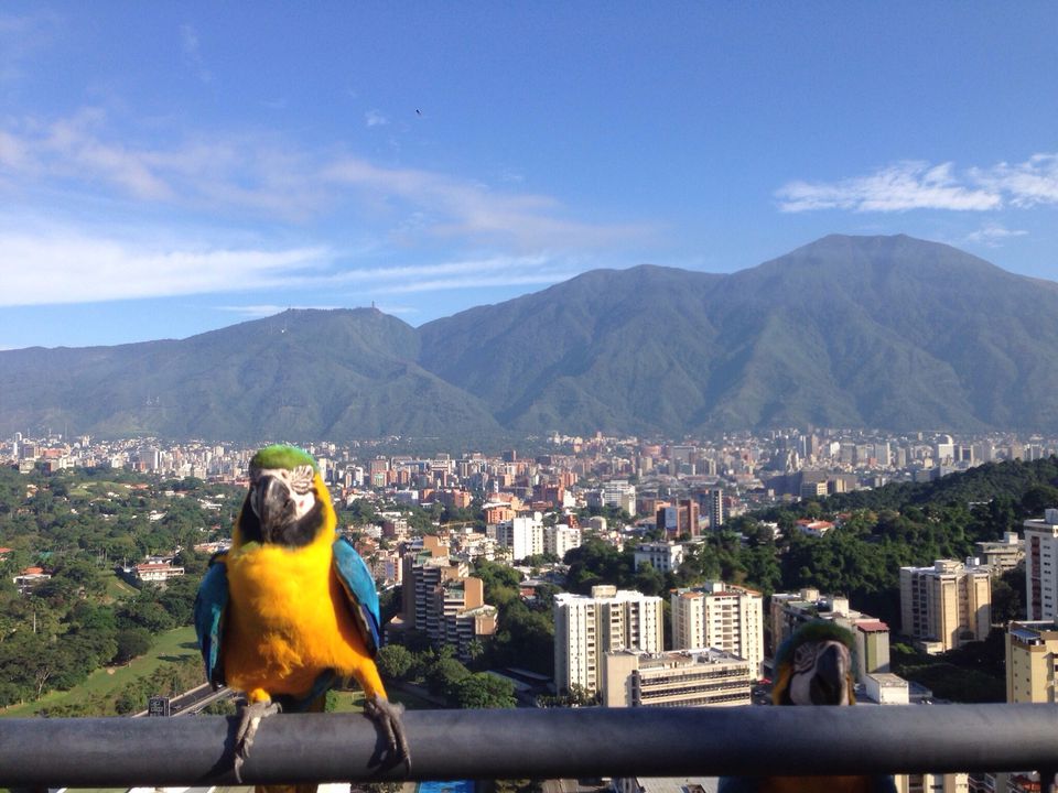 venezuela tourist card