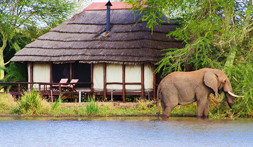 Photo of WORLD RANKED SAFARI LODGES WELCOME VISITORS TO THE GREATER KRUGER NATIONAL PARK