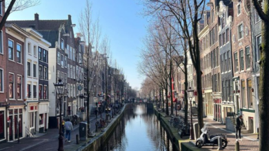 Photo of The Walletjes in Amsterdam: A Complete Guide